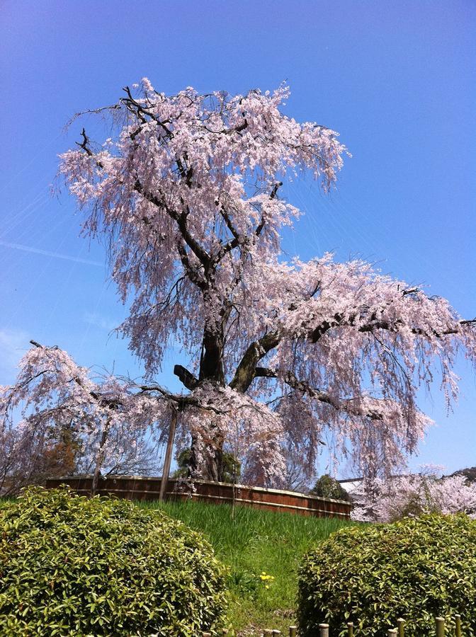 Gina House Kyoto Hotel ภายนอก รูปภาพ